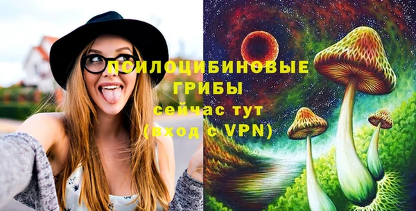 тгк Абинск