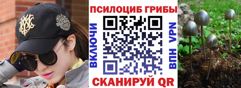 Псилоцибиновые грибы Magic Shrooms  Шенкурск 